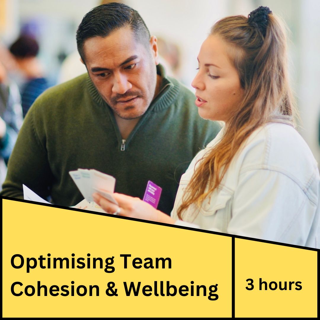 Optimising Team Cohesion & Wellbeing - 'Workshop In A Box'